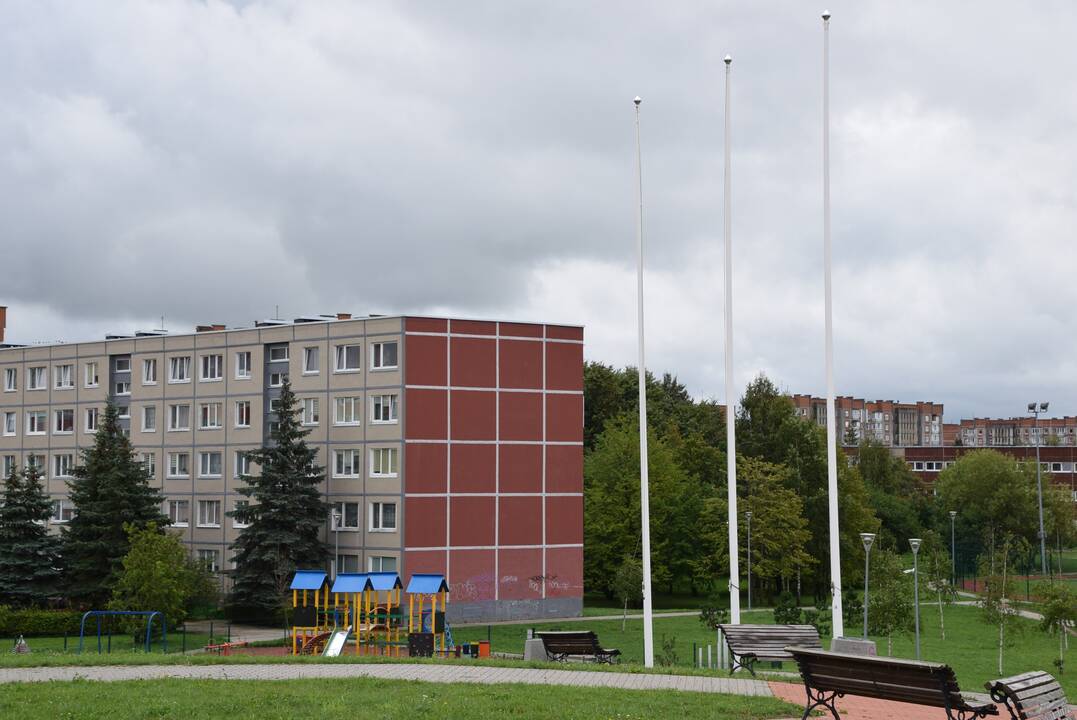 Stichija: Klaipėdos Sąjūdžio parke nuo vėliavos stovo vėjas ir vėl nudrėskė trispalvę.