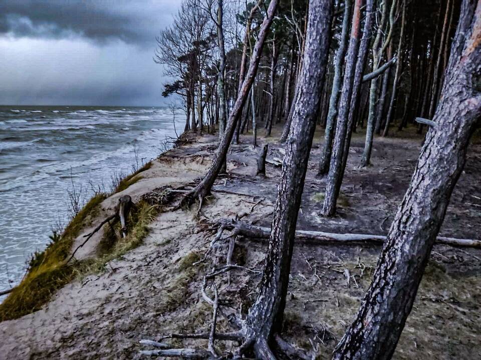 Prie Olando Kepurės skardžio klos trinkeles?