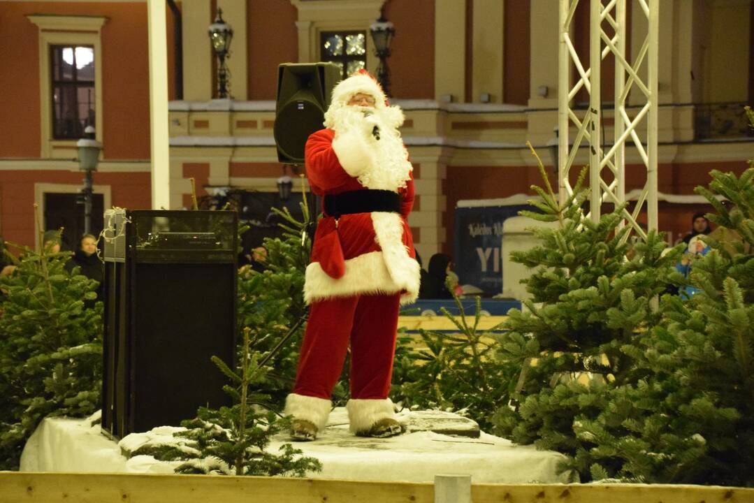 Šventiniai renginiai prie Klaipėdos eglės