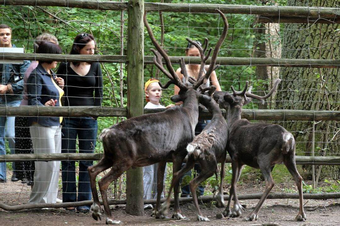 Pasaulinė gyvūnijos diena – egzotiškiausioje Kauno vietoje