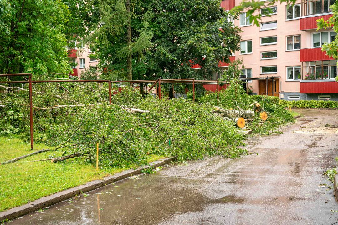 Dėl stipraus lietaus ugniagesiams teko šalinti nuvirtusius medžius