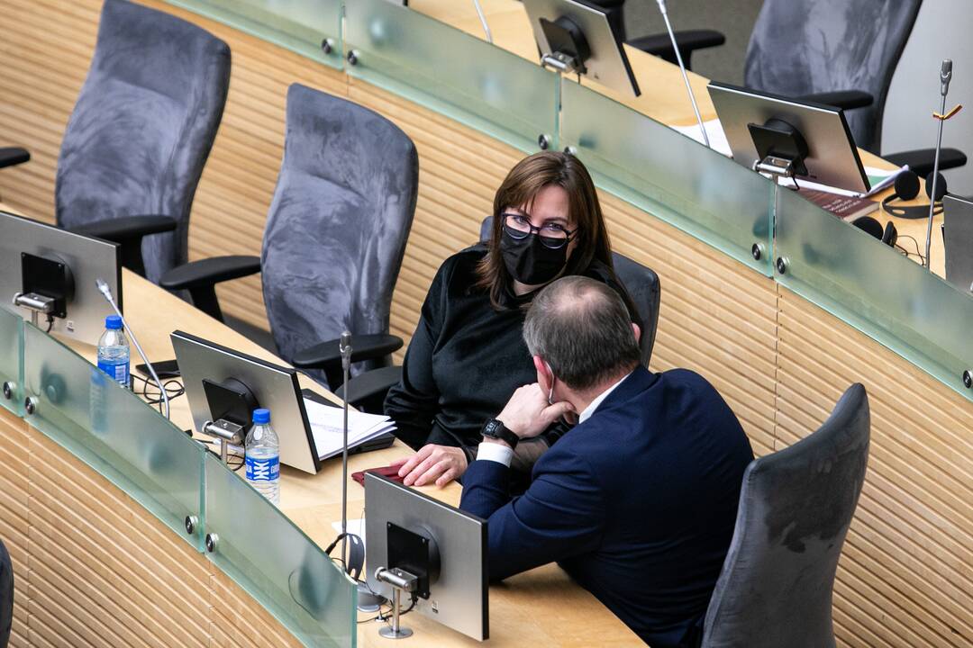 Seimo narių interpeliacija A. Dulkiui