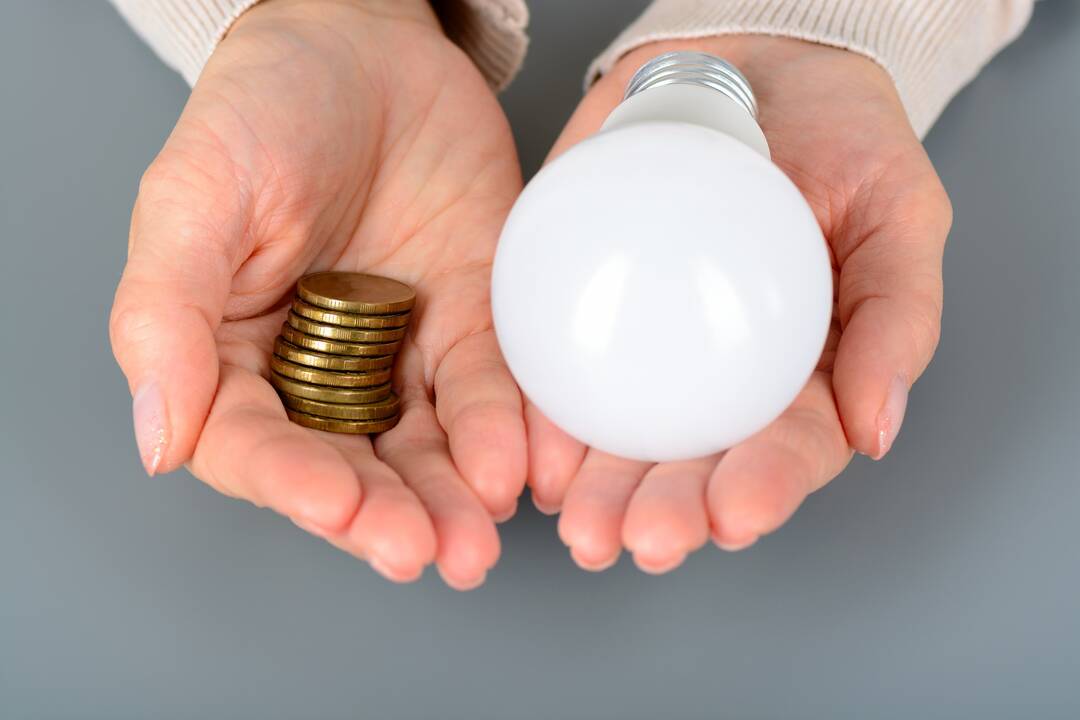 Pasikeitė elektros energijos tiekėjas: į ką svarbu atkreipti dėmesį?