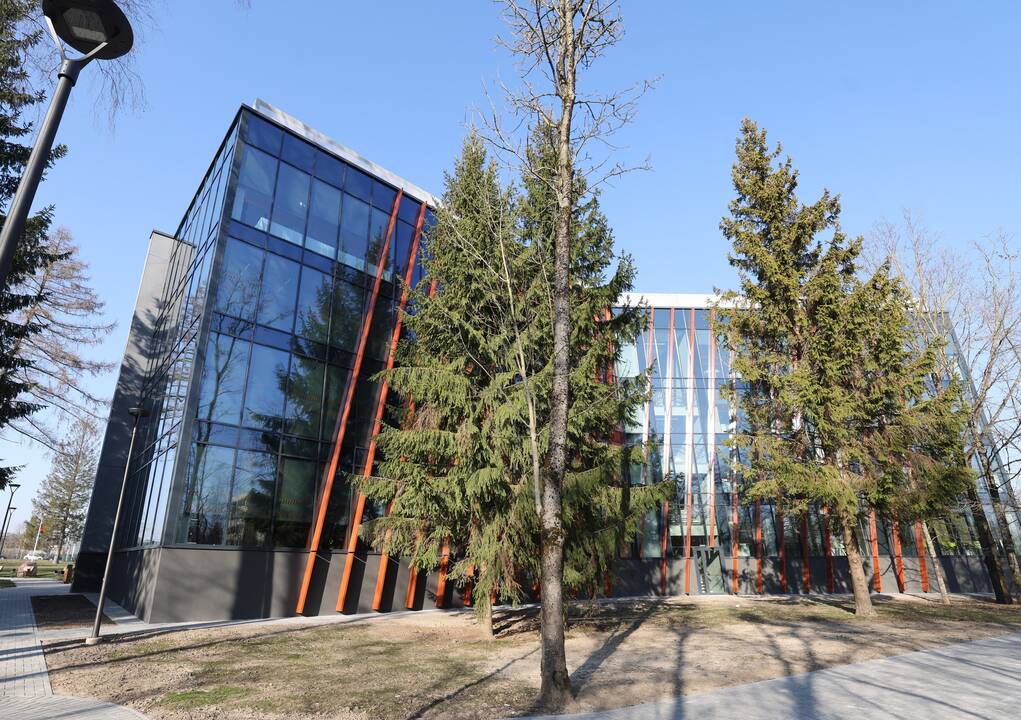 Įkurtuvės VDU Ugnės Karvelis gimnazijoje