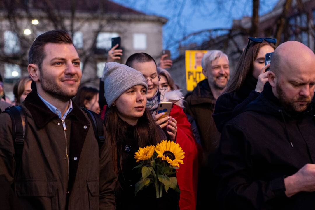 Ukrainos palaikymo akcija prie Seimo