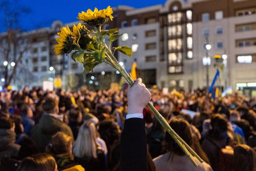 Ukrainos palaikymo akcija prie Seimo