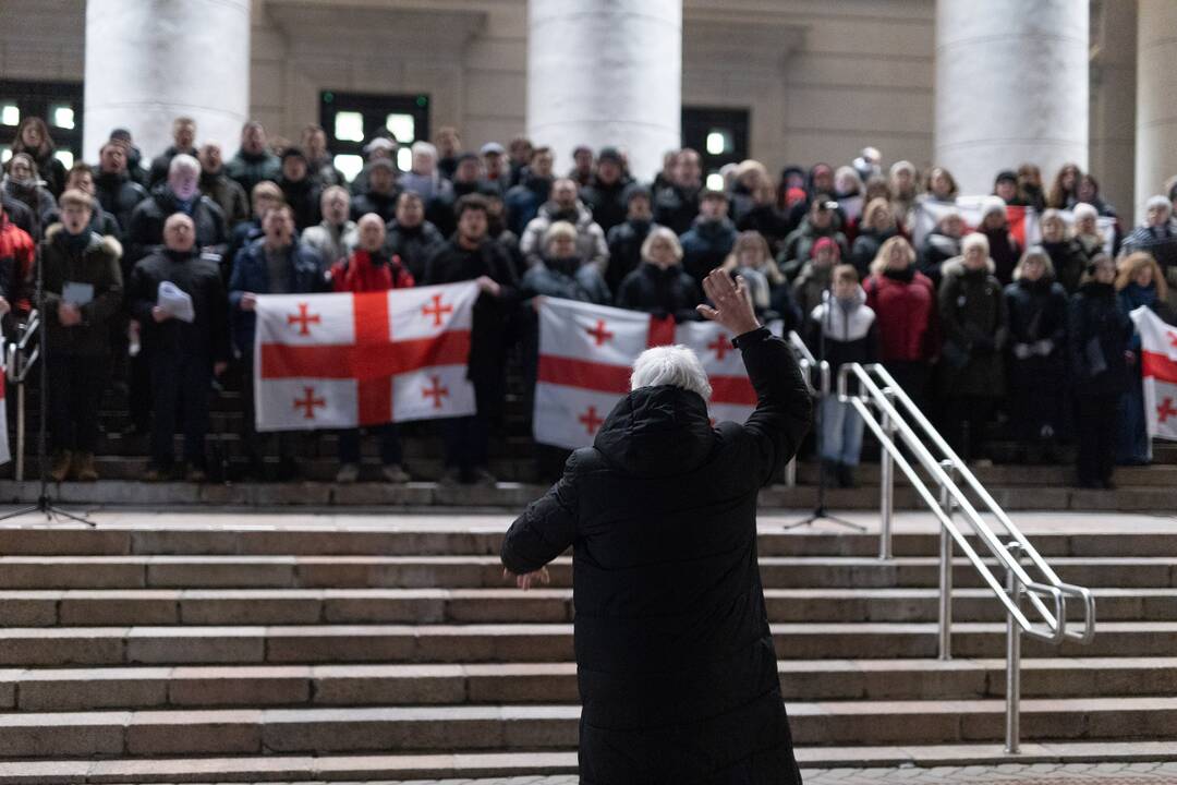 Protestuojančių kartvelų palaikymo akcija Vilniuje