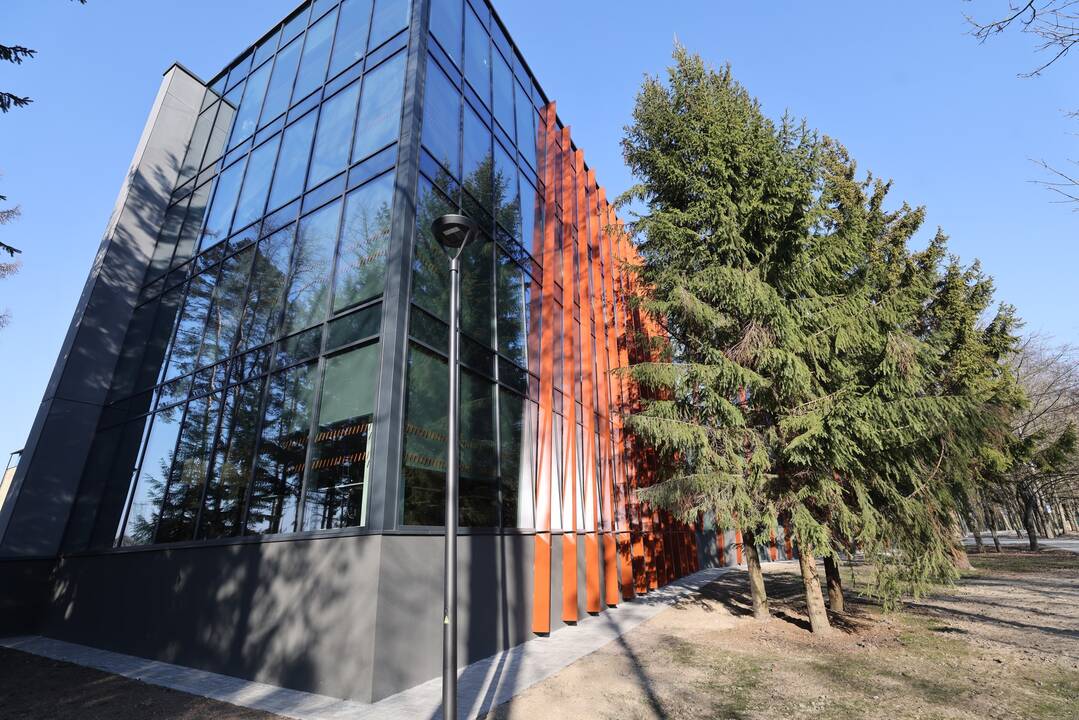 Įkurtuvės VDU Ugnės Karvelis gimnazijoje