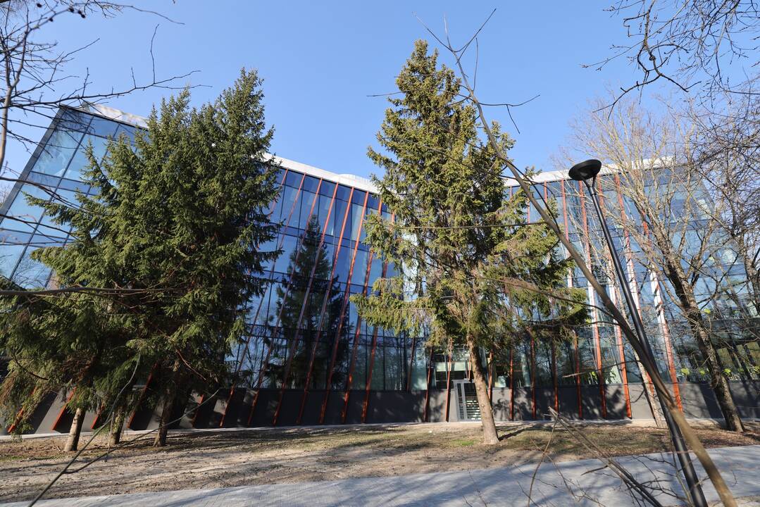 Įkurtuvės VDU Ugnės Karvelis gimnazijoje