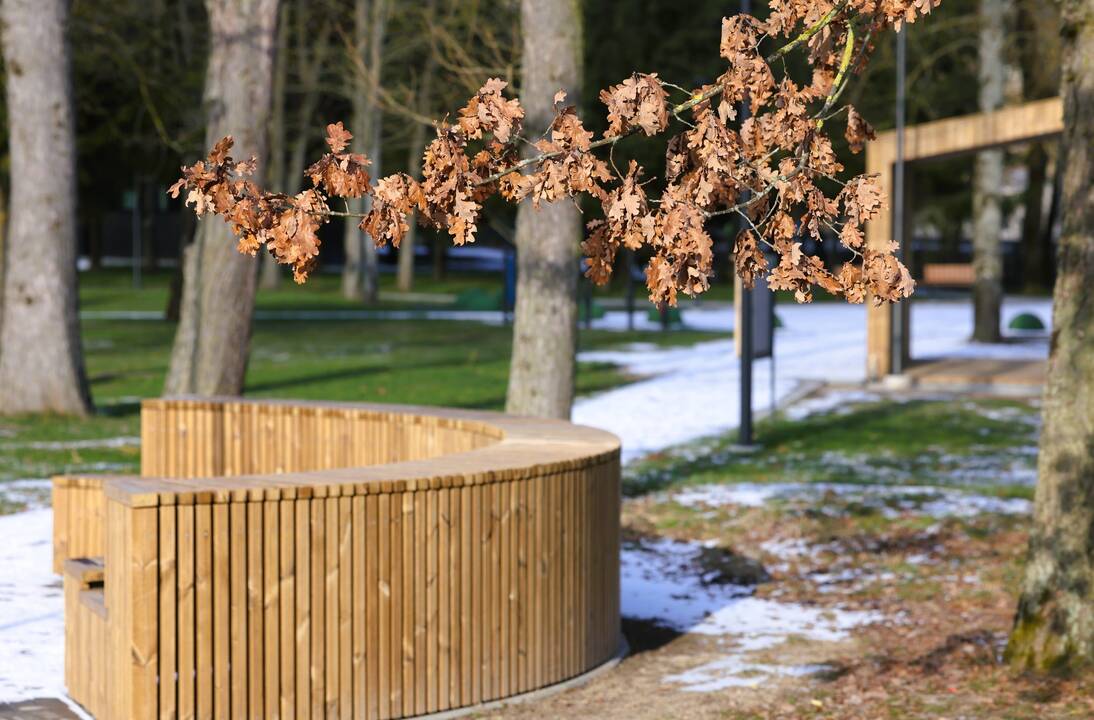 Įkurtuvės VDU Ugnės Karvelis gimnazijoje