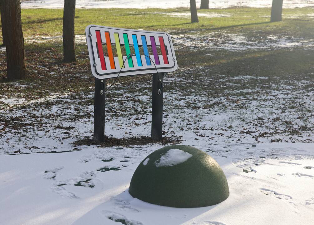 Įkurtuvės VDU Ugnės Karvelis gimnazijoje