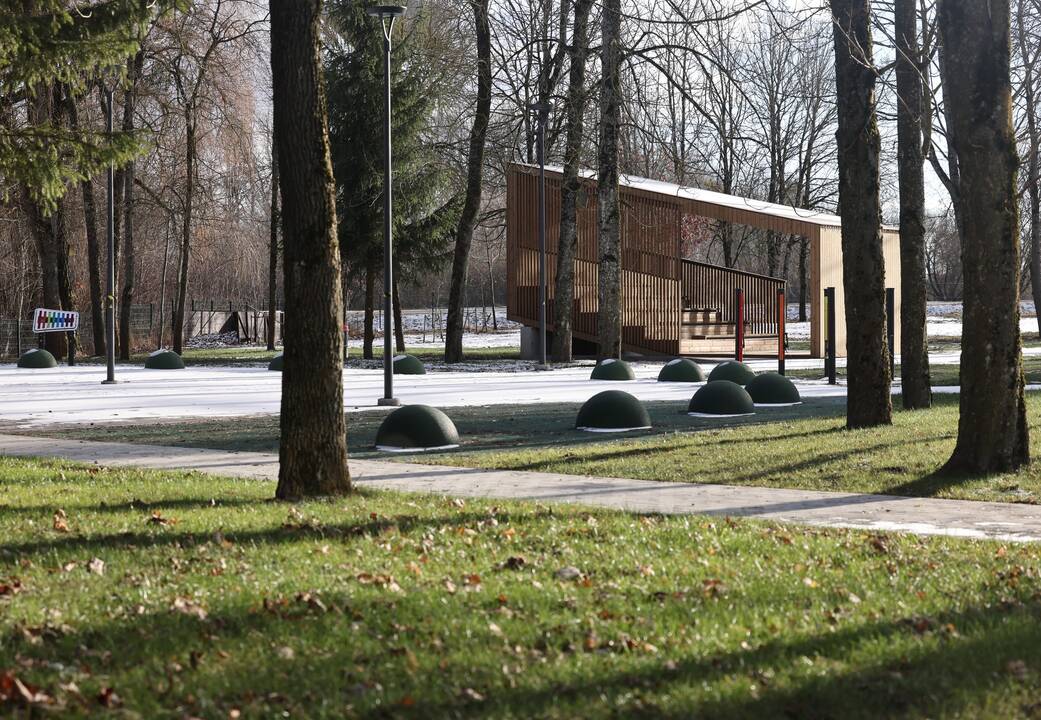 Įkurtuvės VDU Ugnės Karvelis gimnazijoje