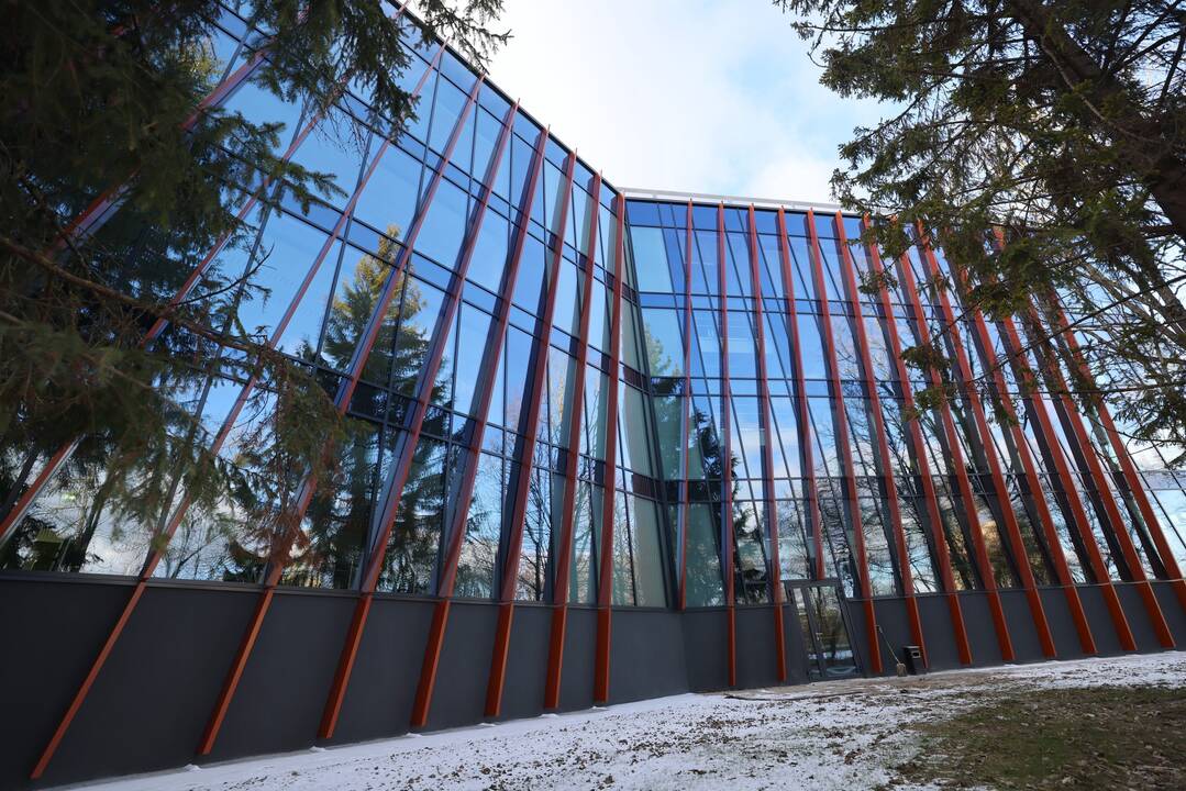 Įkurtuvės VDU Ugnės Karvelis gimnazijoje