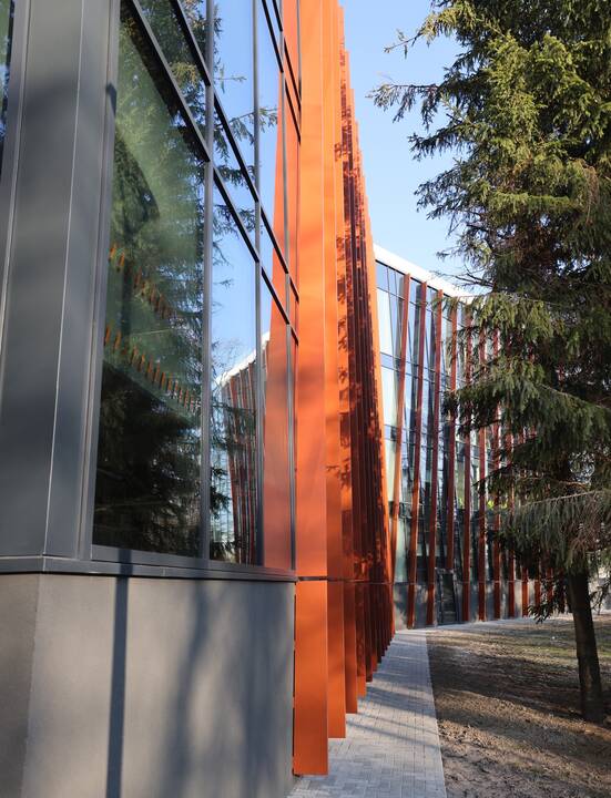 Įkurtuvės VDU Ugnės Karvelis gimnazijoje