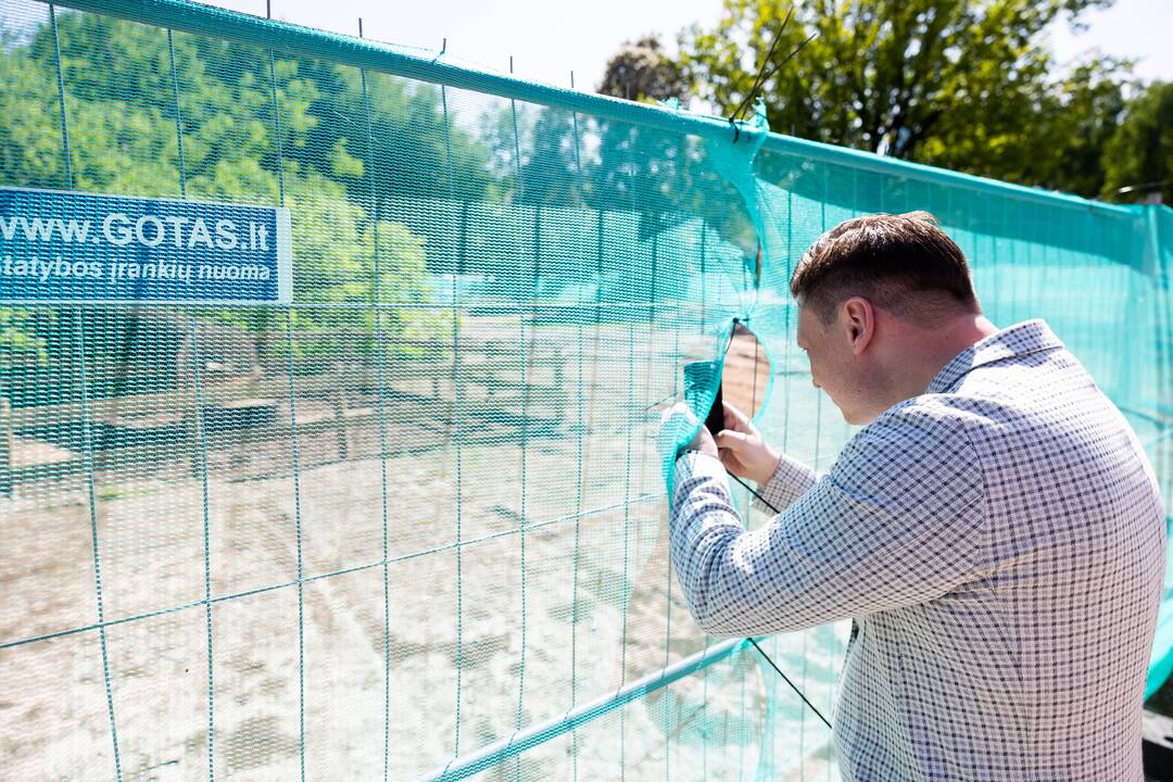 Sostinės centre nukirstas šimtametis ąžuolas