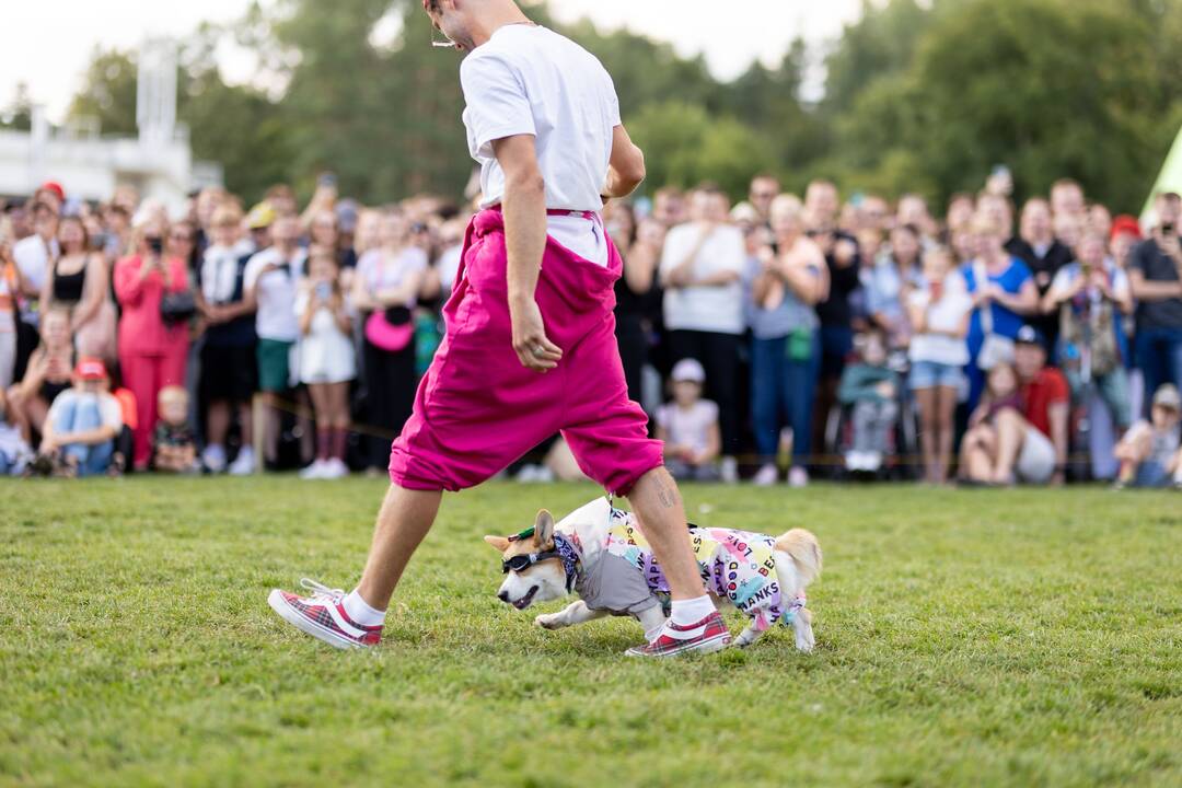 Korgių lenktynės Vingio parke