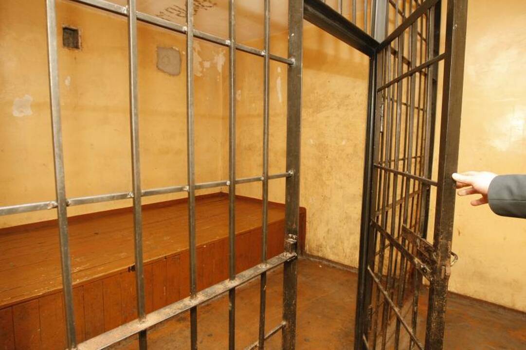 Iš parduotuvės brangų siurblį išsinešęs vyras uždarytas į areštinę