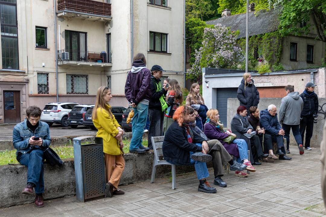 V. Putvinskio gatvės diena