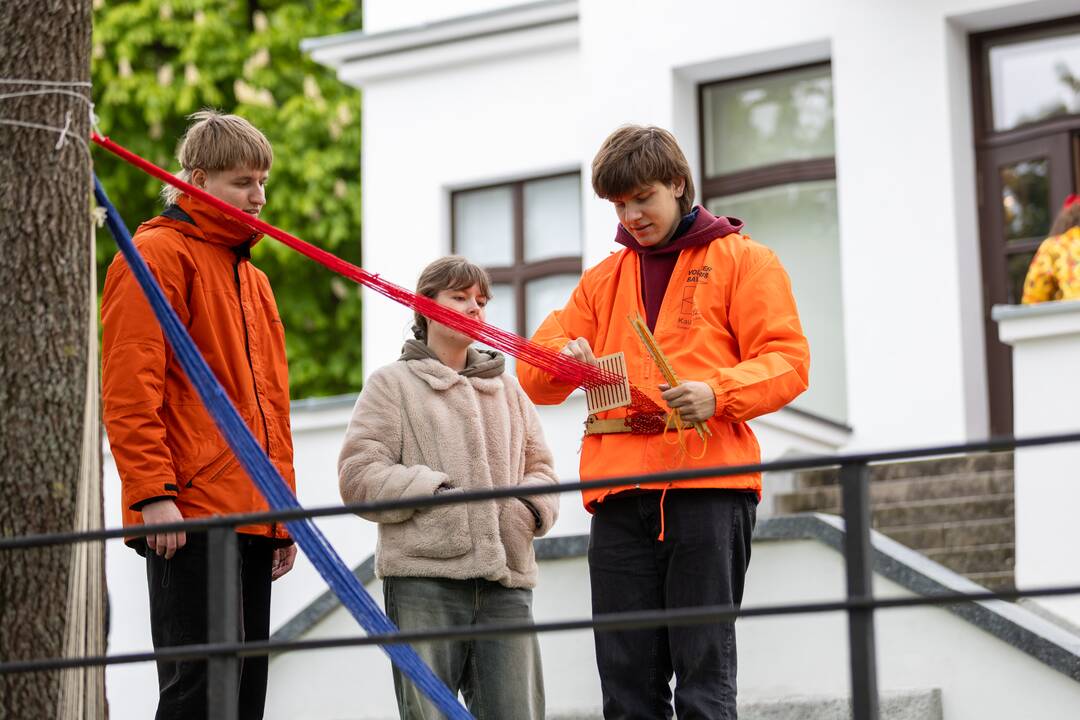 V. Putvinskio gatvės diena