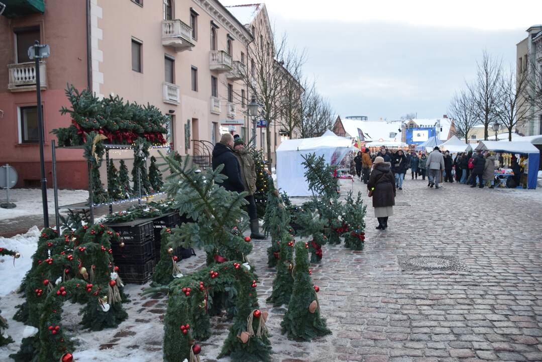 Įžiebta nuostabi Klaipėdos eglė