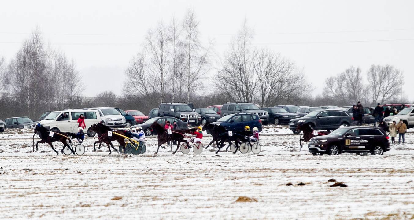 Ristūnų lenktynės "Sartai 2015"