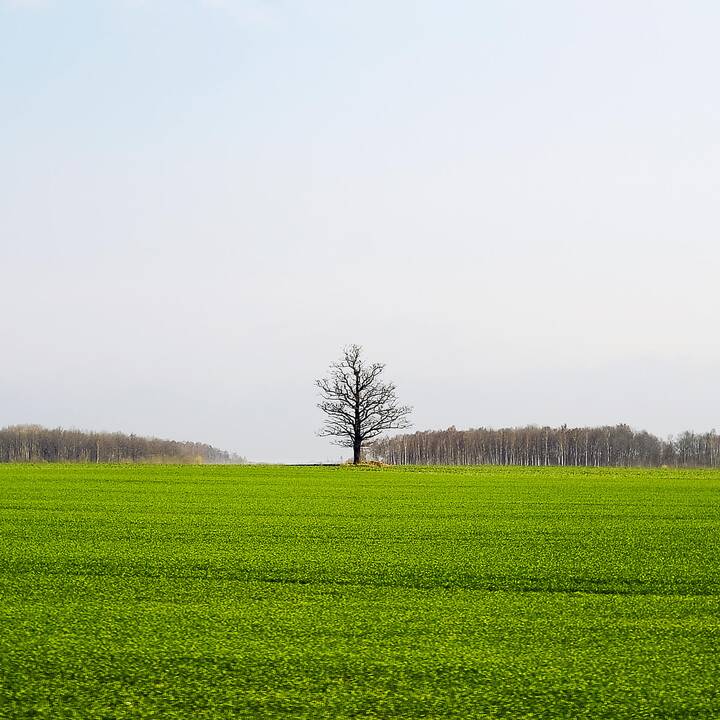 Patvirtintos naujos žemės gelmių naudojimo planų rengimo taisyklės