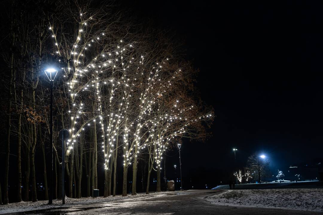 Kauną apgaubė kalėdinė magija