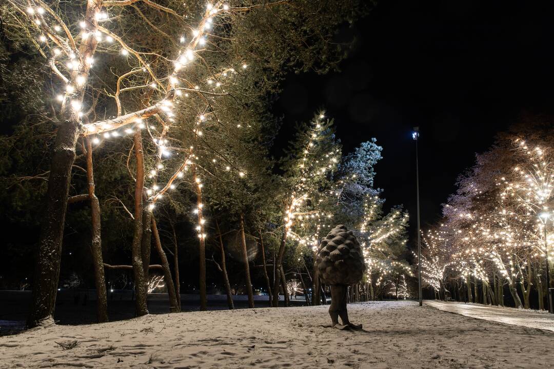 Kauną apgaubė kalėdinė magija