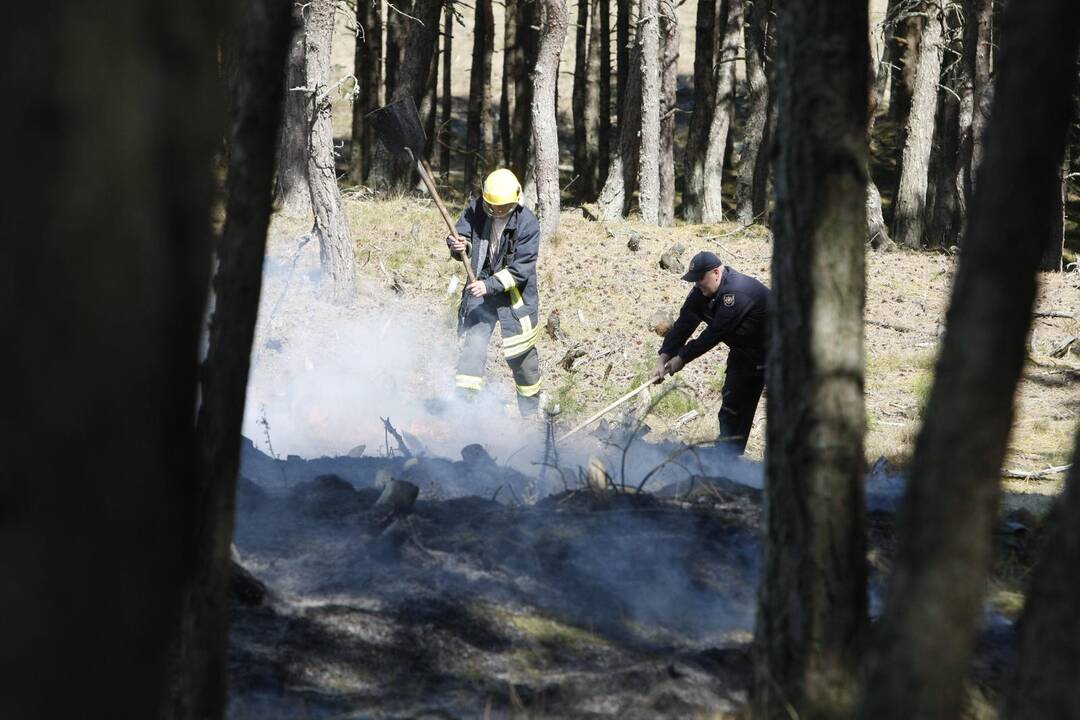 Ugnis negailestingai niokoja Kuršių neriją (unikalios foto)