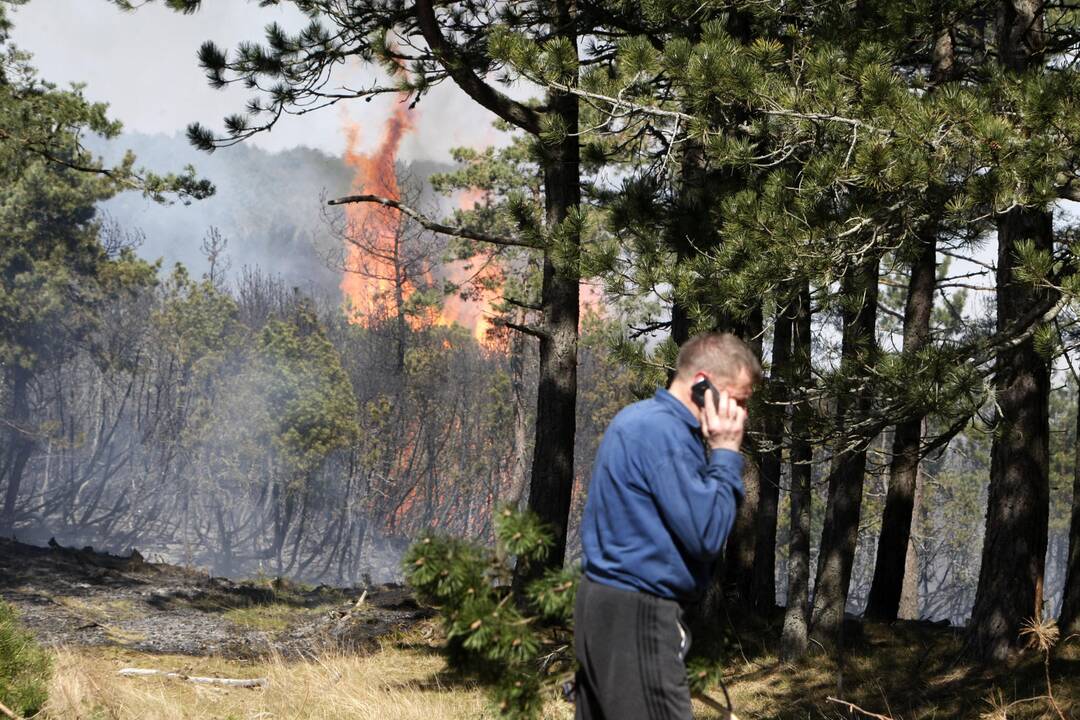 Ugnis negailestingai niokoja Kuršių neriją (unikalios foto)