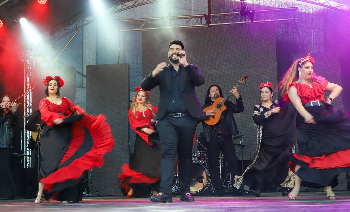 Tarptautinis festivalis „Tautinių kultūrų diena“