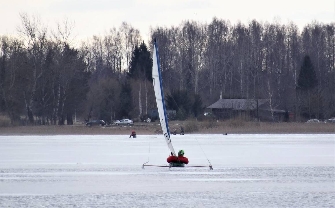 Ledo jachtų taurės varžybos