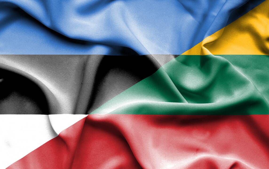 I. Šimonytė susitikime su Estijos premjere iškėlė Astravo AE grėsmių klausimą