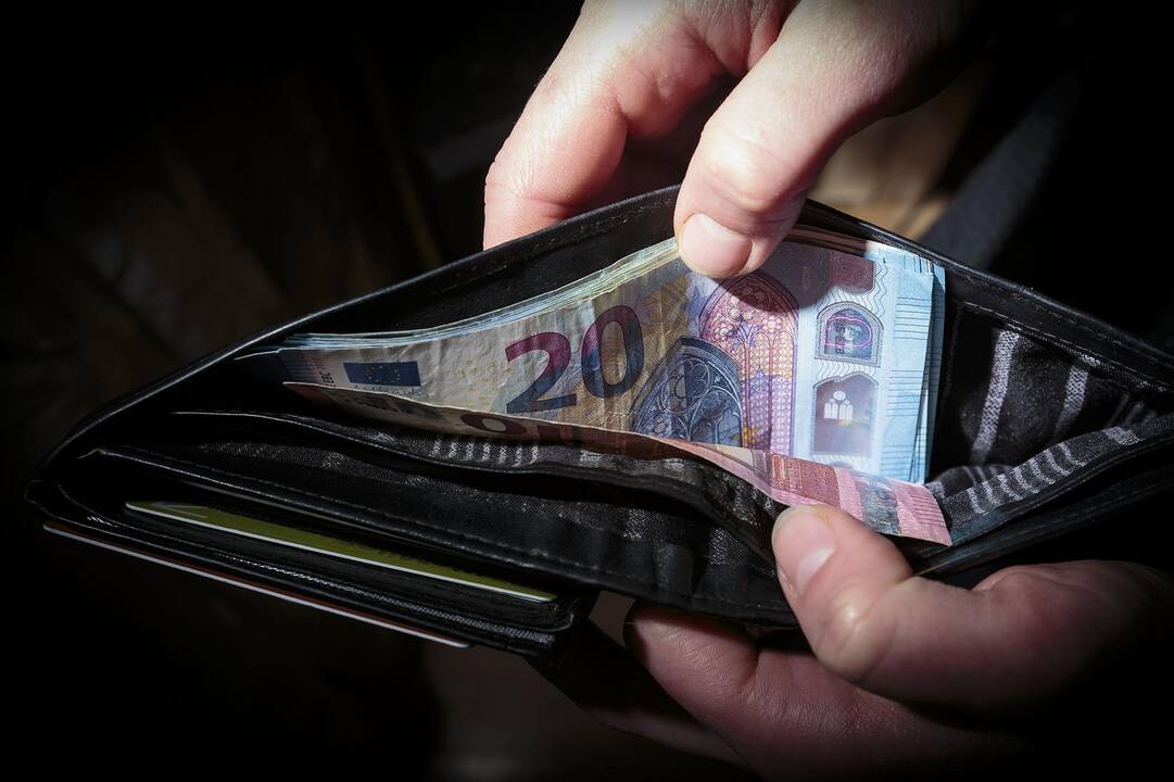 Seimas linkęs įteisinti 460 eurų NPD