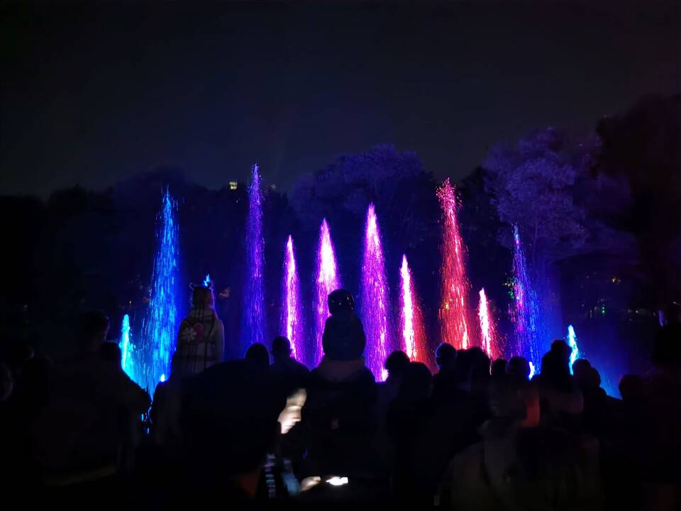 III Vilniaus šviesų festivalis
