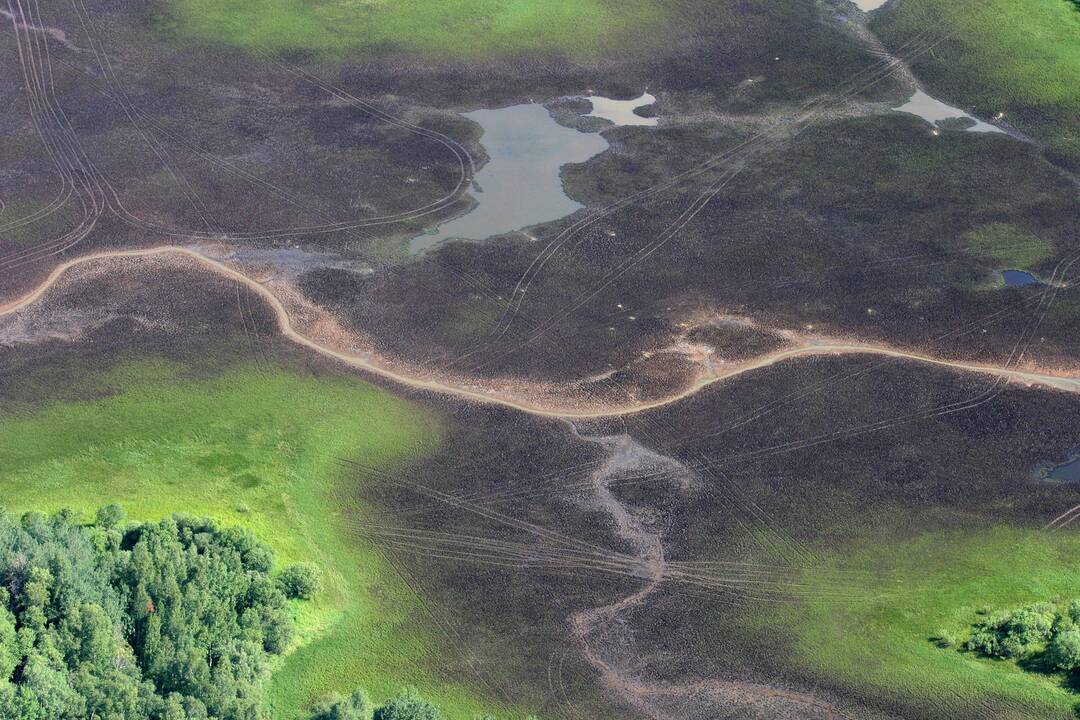 Lietuvoje – 7 saugomi biologinės įvairovės lopšiai