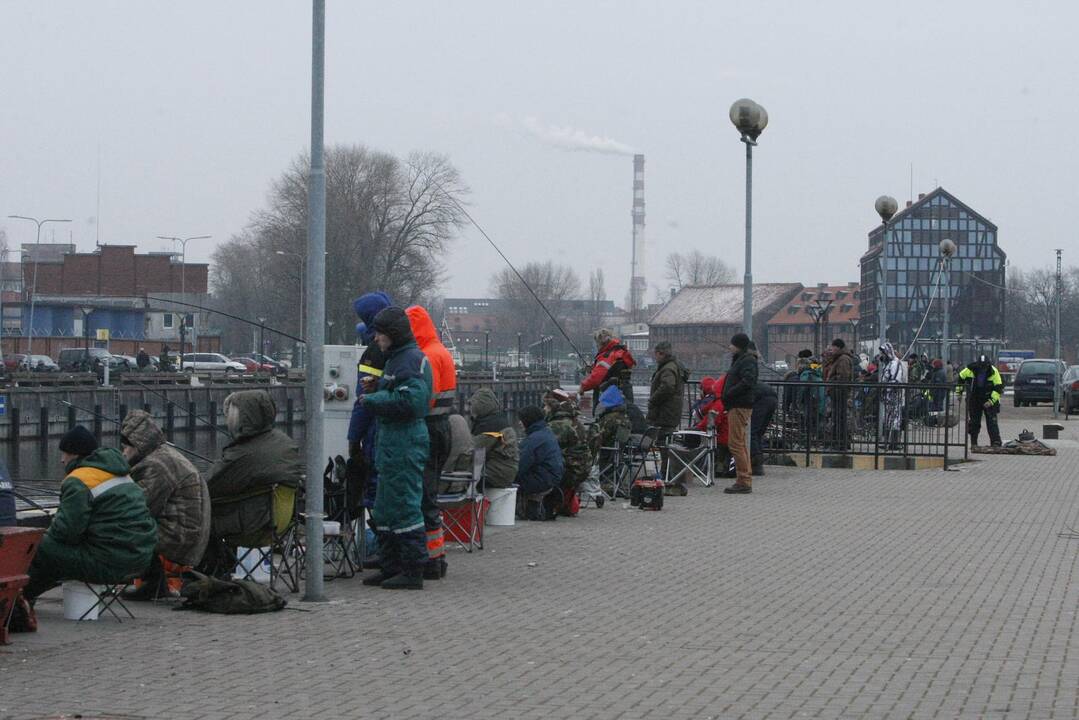 Stintų žvejyba Klaipėdoje