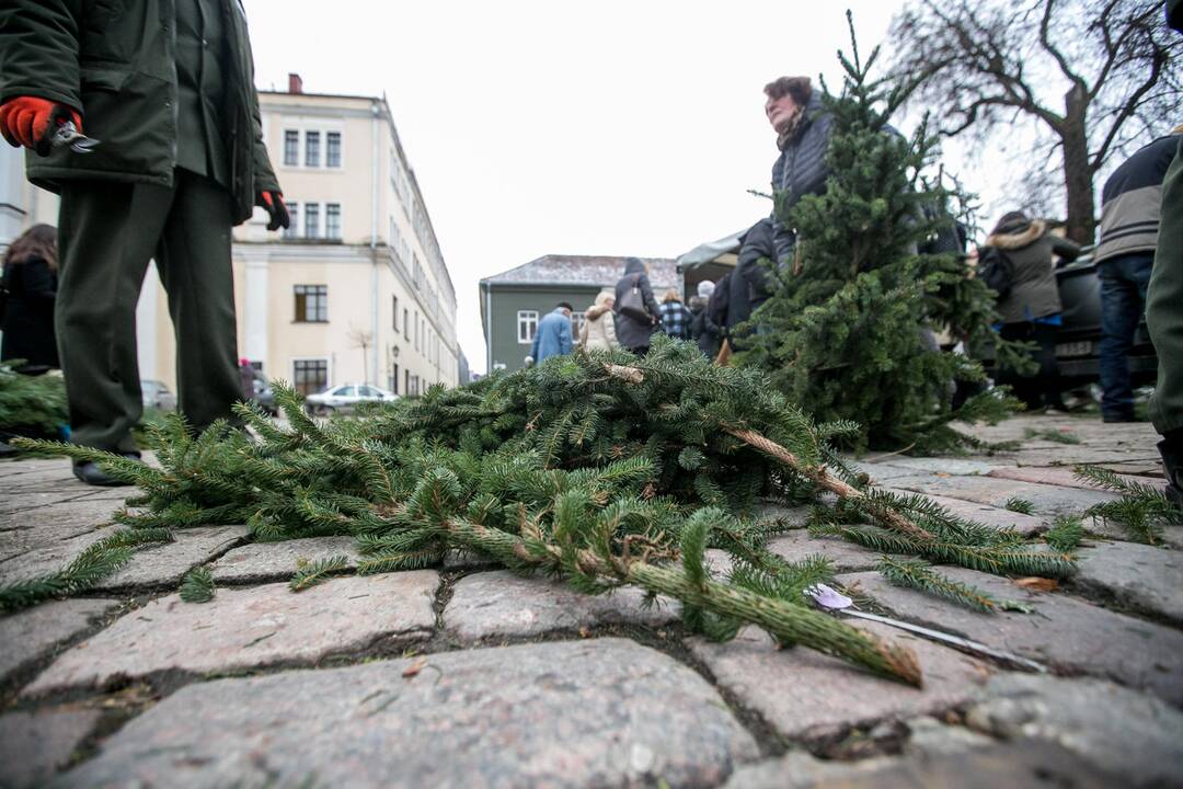  Akcija "Parsinešk Kalėdas į savo namus"