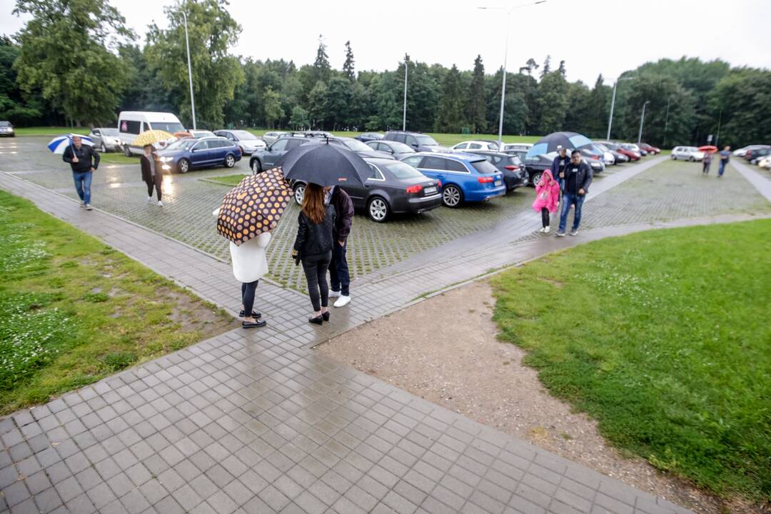 „Pažaislio liepų alėjos vakarai“: D. Razauskas ir S. Petreikis