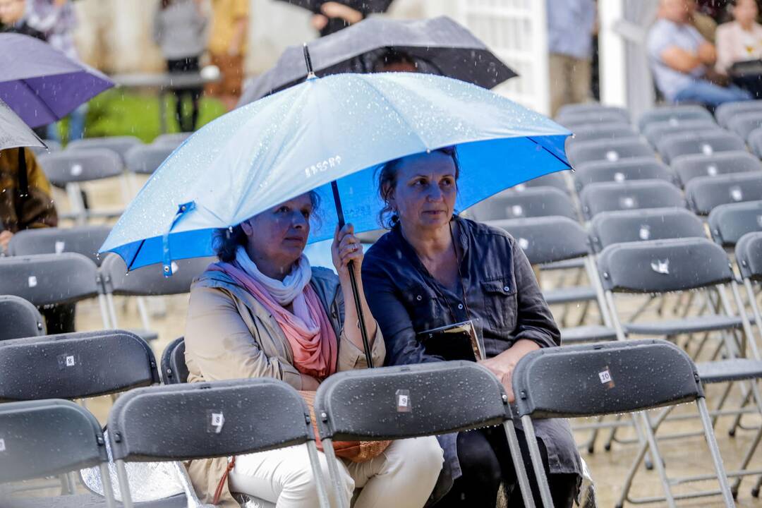 „Pažaislio liepų alėjos vakarai“: D. Razauskas ir S. Petreikis