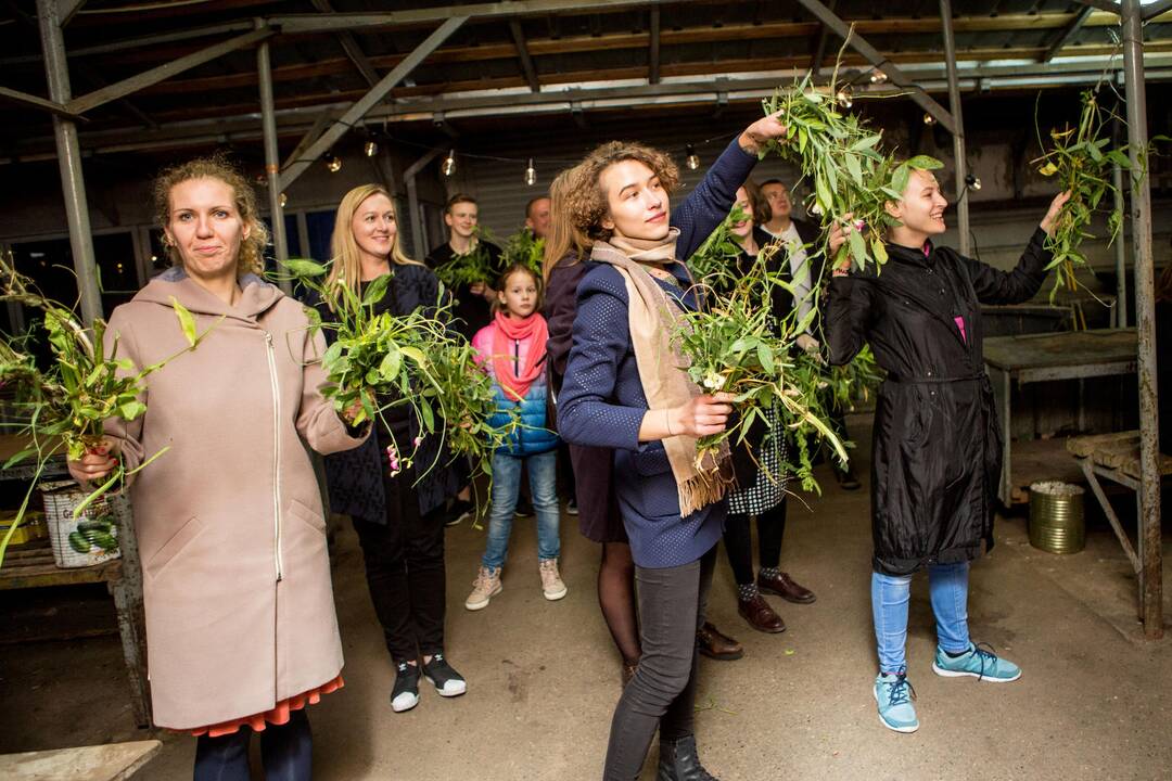 Žaliakalnio turgaus teatro festivalis 2017