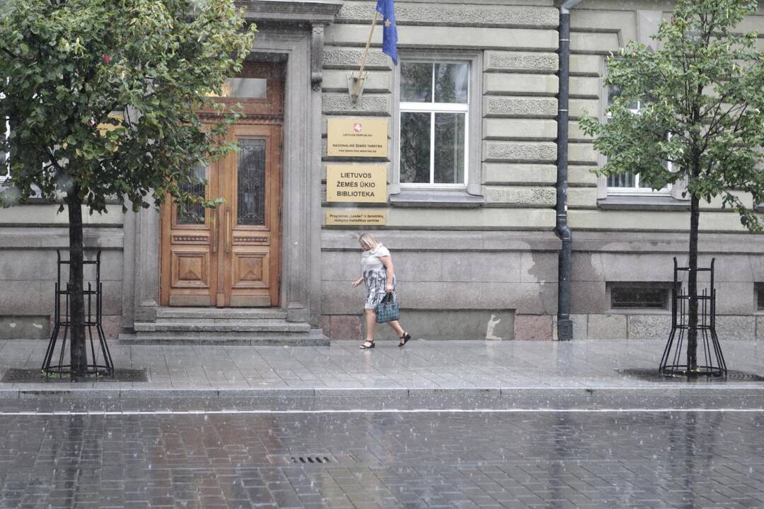 Ketvirtadienio popietę Vilnių prausė liūtis
