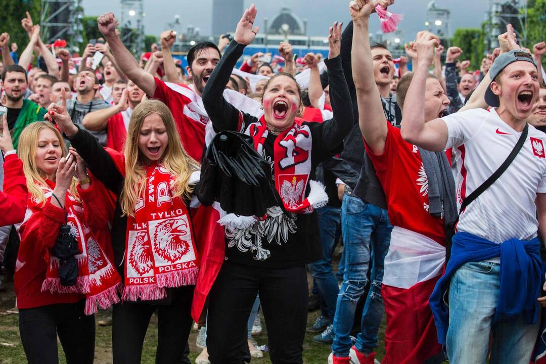 Euro 2016: Lenkija - Šiaurės Airija 1:0