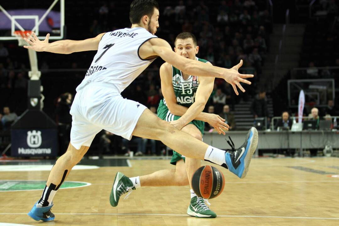 Žalgiris prieš Partizan Nis