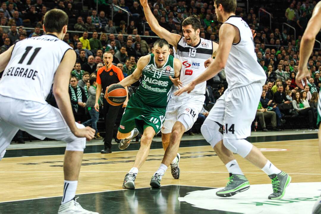 Žalgiris prieš Partizan Nis