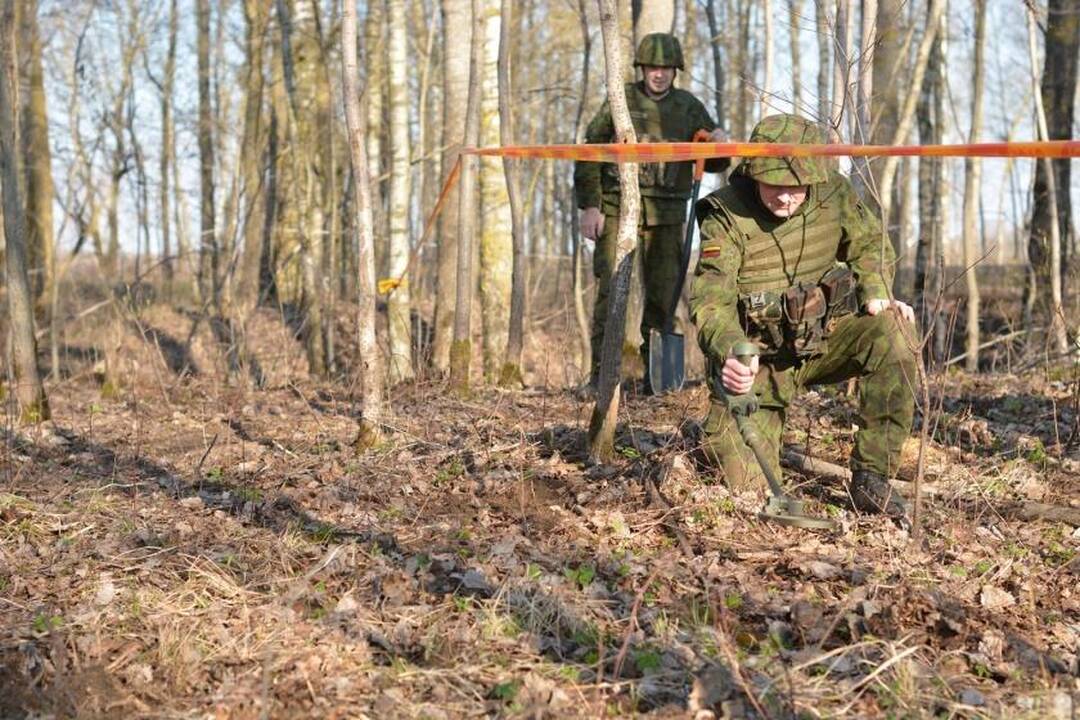 Kariuomenė per 11 metų sunaikino beveik 50 tūkst. sprogmenų