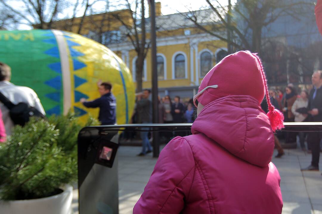 Studentai Kauno centre rideno rekordinį margutį.