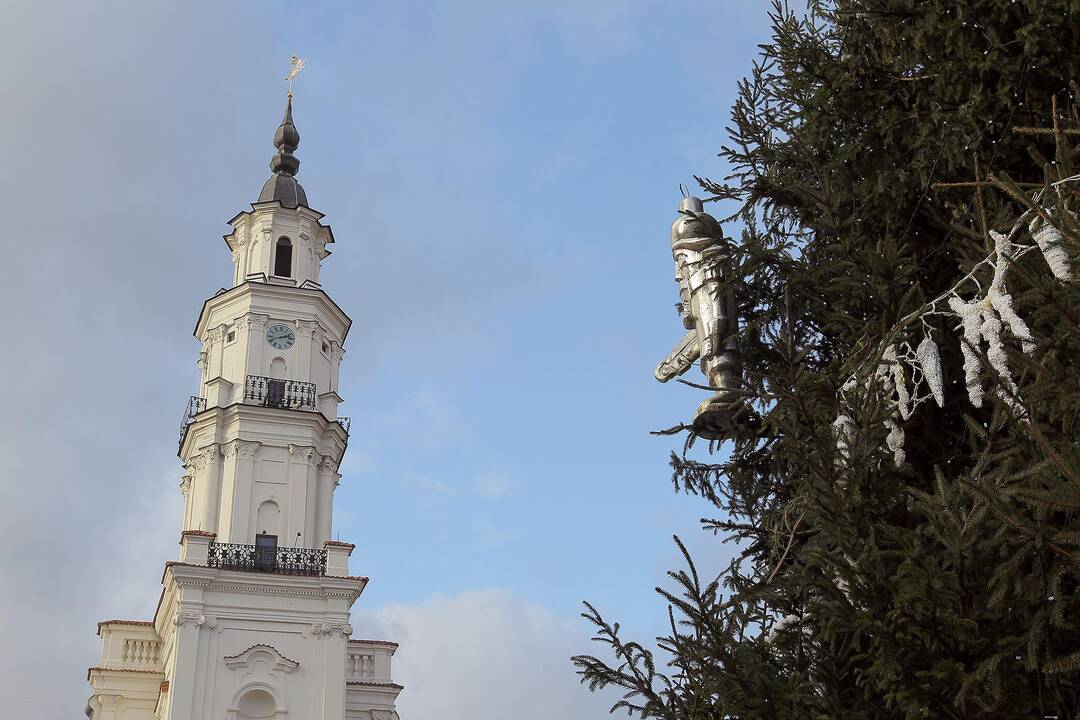 Rotušės aikštėje nupuošiama Kauno Kalėdų eglė.