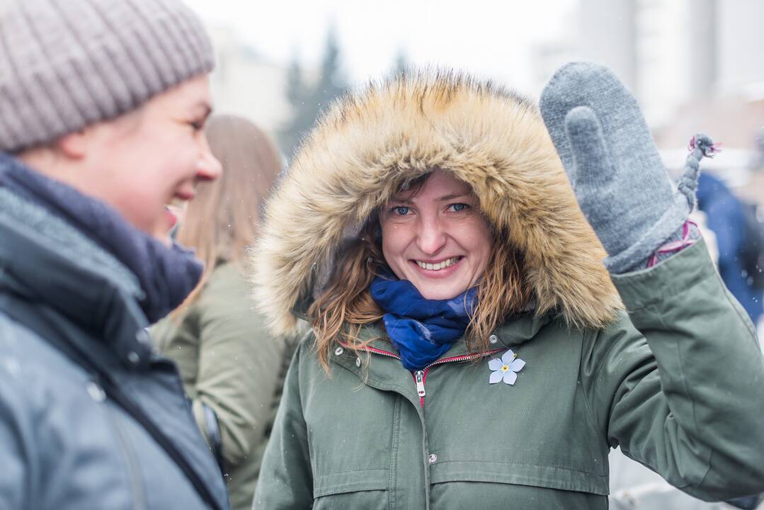 Simbolinė neužmirštuolių pieva Laisvės gynėjams