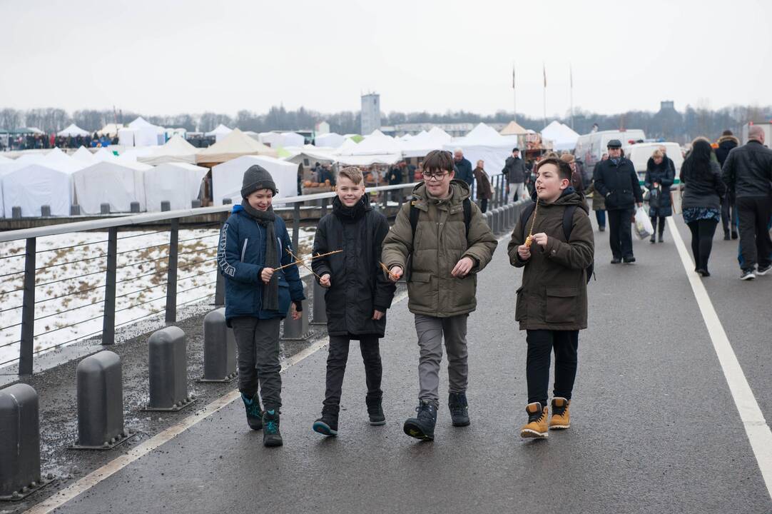 Kazimiero mugė Kaune (2018)